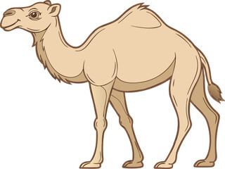 camel icon vector illustration on transparent background