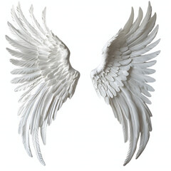 Obraz premium angel wings isolated on white