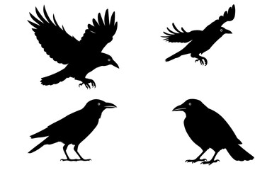 Obraz premium Vector Isolated Black Crow Bird Silhouette Art