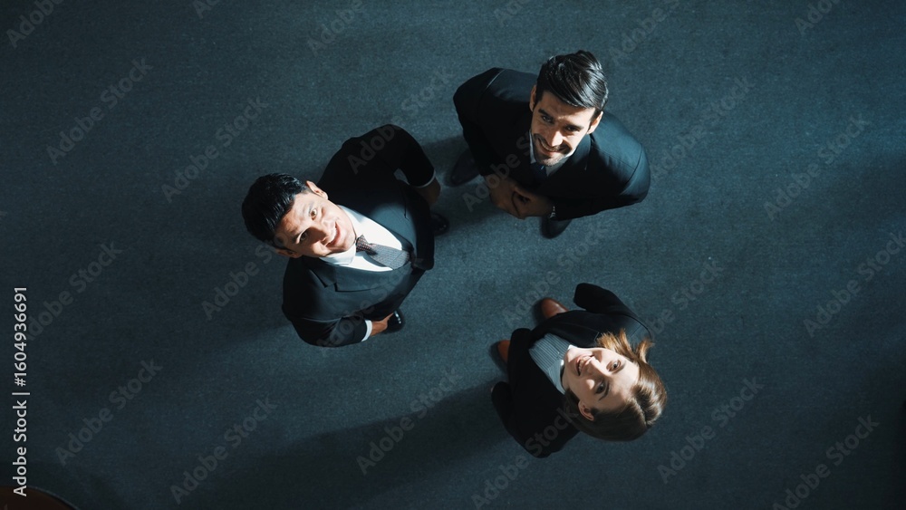 Aufkleber top down aerial view of diverse business team explain marketing strategy while standing and looking 
