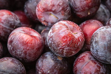 Dark purple plums. Close-up