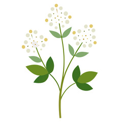 vector illustration of flowers