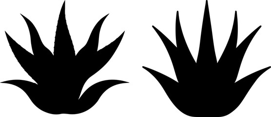 Fototapeta premium Black aloe vera vector, Aloe vera art, Aloe vera vector art design, Vector of Aloe vera art, Aloe vera isolated