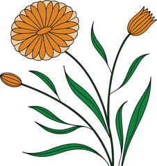 Bright orange floral illustration with green leaves and soft outlines, perfect for botanical art, nature-themed designs, packaging, textile patterns, and elegant decorative projects.