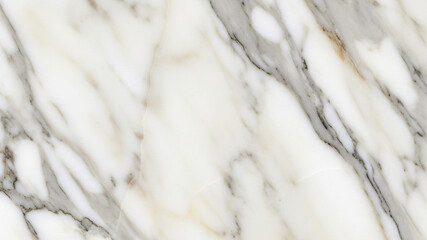 close up of white feathers