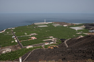 Plataneras y coladas de lava en la costa sur de la isla de La Palma