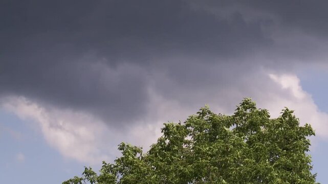 Skies in Motion &ndash; Thunderheads Rolling In