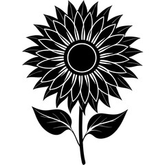 Fototapeta premium Sunflower