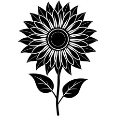 Fototapeta premium Sunflower