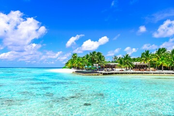 tropical beach with palm trees