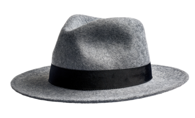 Gray fedora hat with dark band