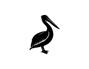 Obraz premium Black silhouette of a pelican