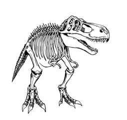 T-Rex Skeleton: A detailed monochrome illustration of a Tyrannosaurus Rex skeleton, showcasing its powerful frame and sharp teeth in stark black and white.