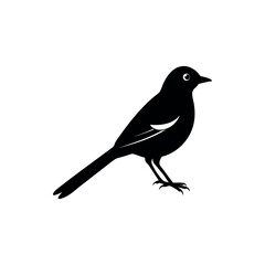 A bulbul Bird's silhouette art vector illustration.