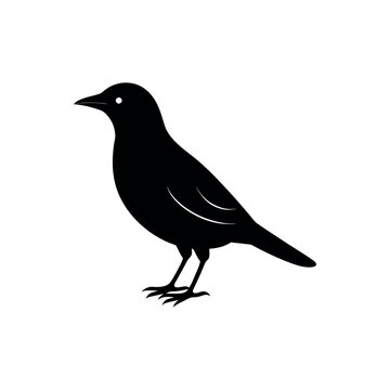 A bowerbird Bird's silhouette art vector illustration.