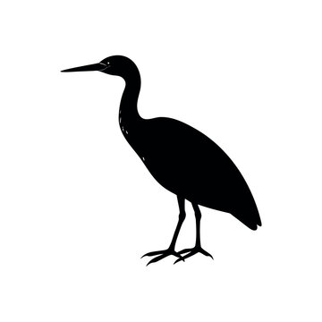 A bittern Bird's silhouette art vector illustration.