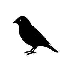 Obraz premium A crossbill Bird's silhouette art vector illustration.