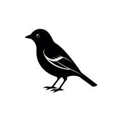 A flowerpecker Bird's silhouette art vector illustration.