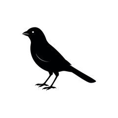 A munia Bird's silhouette art vector illustration.