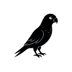 Obraz premium A lorikeet Bird's silhouette art vector illustration.