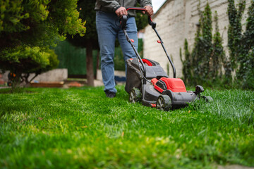 Mowing the lush green lawn on a sunny afternoon in a charming backyard garden setting