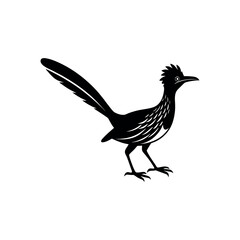 A roadrunner Bird's silhouette art vector illustration.