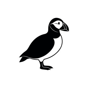 A puffin Bird's silhouette art vector illustration.