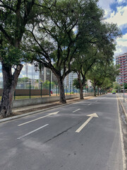 A calm urban street with two-way traffic markings on asphalt. Mature trees shade a fenced park area...