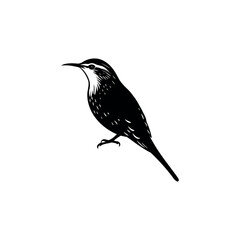A treecreeper Bird's silhouette art vector illustration.