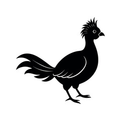 A turaco Bird's silhouette art vector illustration