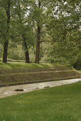 a muddy river flowing through a wooded area, surrounded by lush green vegetation and trees. The water appears to be dirty and brown due to sediment and the natural enviro