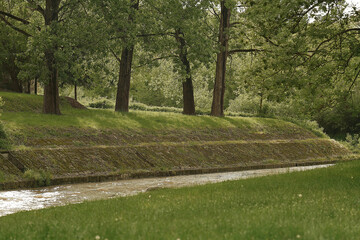 Obraz premium a muddy river flowing through a wooded area, surrounded by lush green vegetation and trees. The water appears to be dirty and brown due to sediment and the natural enviro