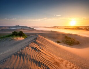 Fototapeta premium summer misty sunrise over sand dunes