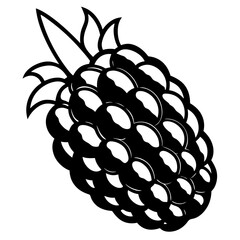 vector illustration of grapes