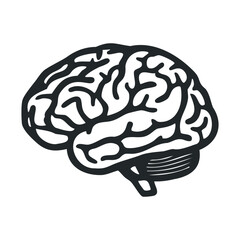 Monochrome illustration of human brain with intricate details