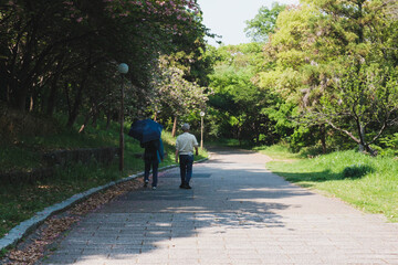 Fototapeta premium 花博記念公園鶴見緑地、自然の中を歩く人、大阪、日本