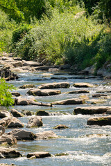 Small river with big rocks and boulders in the river bed. Green plants at the river bank. Summer scenario, selective focus.