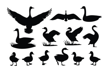 Collection of silhouetted geese and goslings in various poses and flight demonstrating graceful natural forms © Azizun