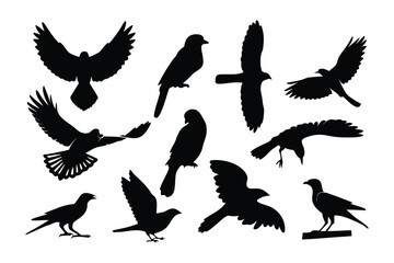 Collection of silhouetted birds in various dynamic flight and perched poses against a white background