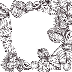 Hazelnut, hazelnut, hazelnut, tree leaf and split walnut vector frame. All objects are hand-drawn with ink. The illustration is suitable for printing on the packaging of goods, cosmetics, kitchen.