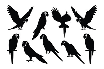 Collection of silhouetted macaw parrots in various dynamic poses showcasing their distinctive wing and tail shapes
