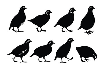 Collection of silhouettes depicting various poses and movements of quail birds in a naturalistic style
