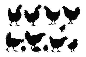 Diverse silhouette collection of roosters hens and chicks showcasing various poses and farm life