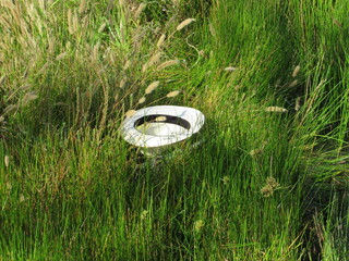 hat in the wild © Jonathan