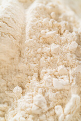 Chocolate Ginger Sugar Cookie Dough for Baking