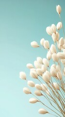 Cream blooms cluster with graceful stems reaching up toward the bright turquoise sky in the distance creating soft subtle beauty