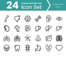 Collection of 24 human anatomy line art icons for medical and health concepts