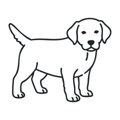 Outline drawing of a labrador puppy. Vector illustration