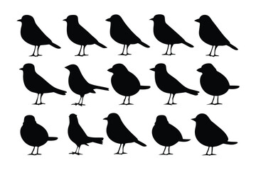 Collection of silhouetted birds of prey including owls and eagles in various poses against a white background