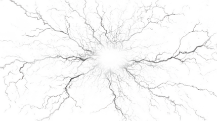 A detailed depiction of branching electrical lightning strikes emanating from a bright central point against a stark transparent background